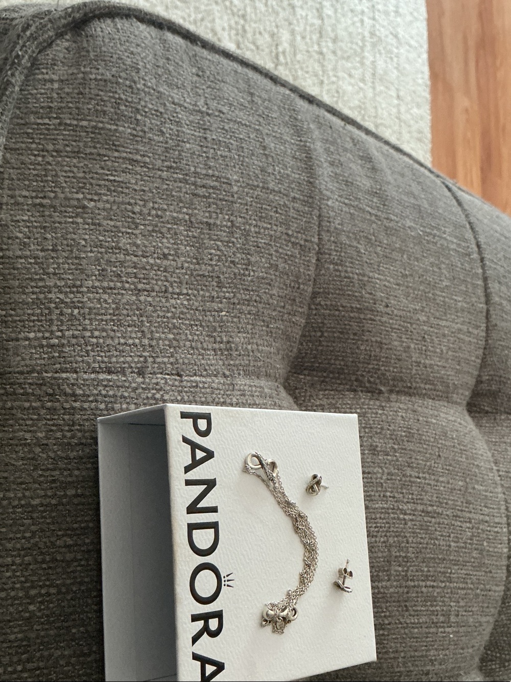 Pandora Silver Charm necklace and Stud Earrings - Silver
